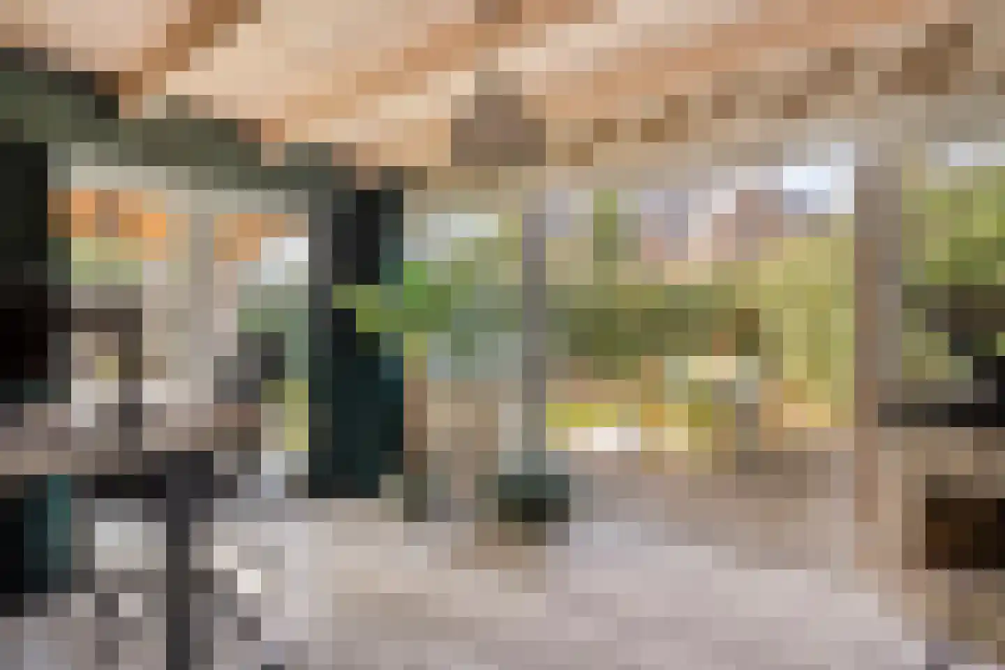 Dorpsstraat 21 Etten thumbnail 17