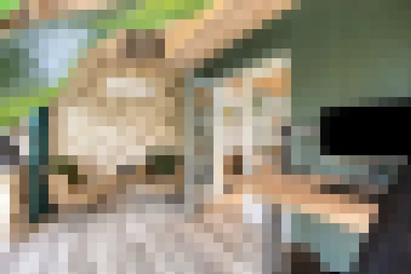 Dorpsstraat 21 Etten thumbnail 18