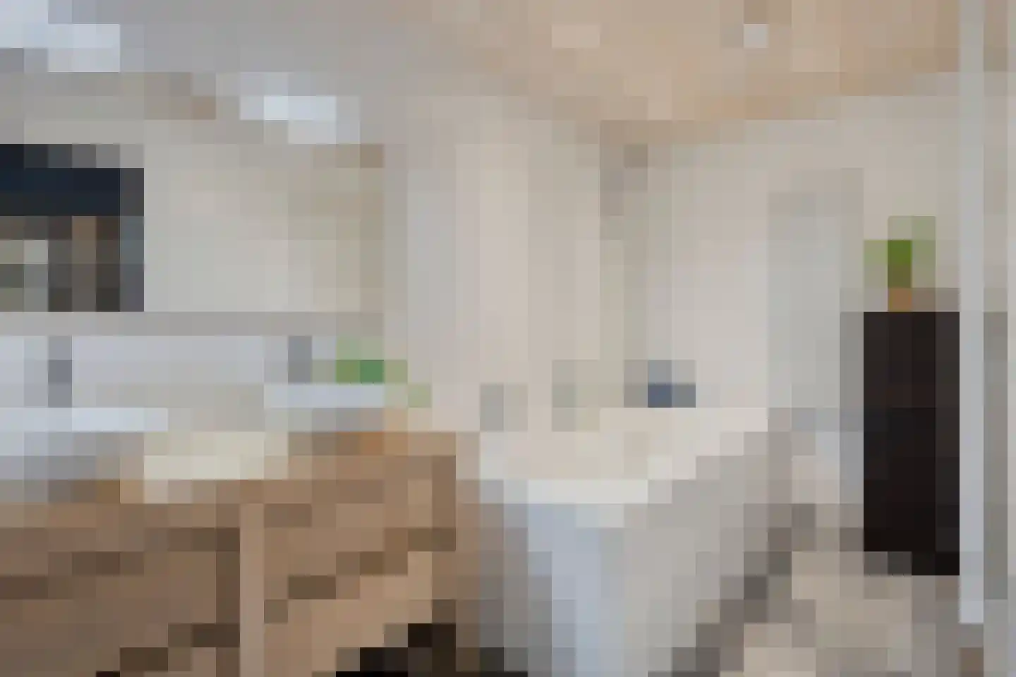 Dorpsstraat 21 Etten thumbnail 24