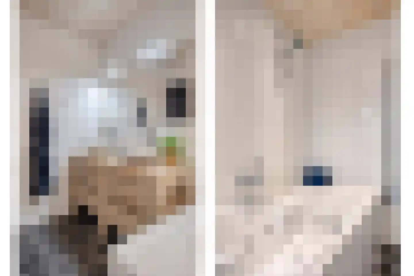 Dorpsstraat 21 Etten thumbnail 25