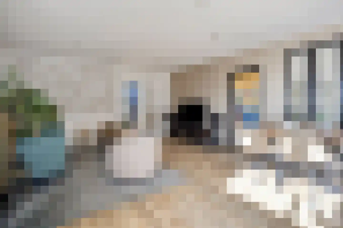 Dorpsstraat 21 Etten thumbnail 31