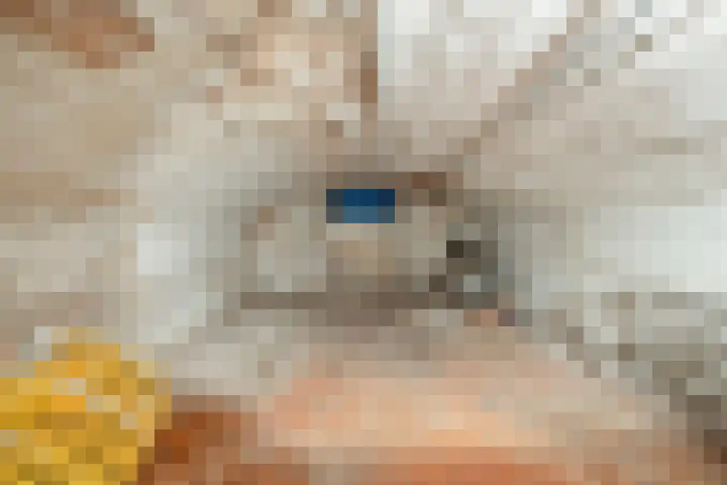 Dorpsstraat 21 Etten thumbnail 39