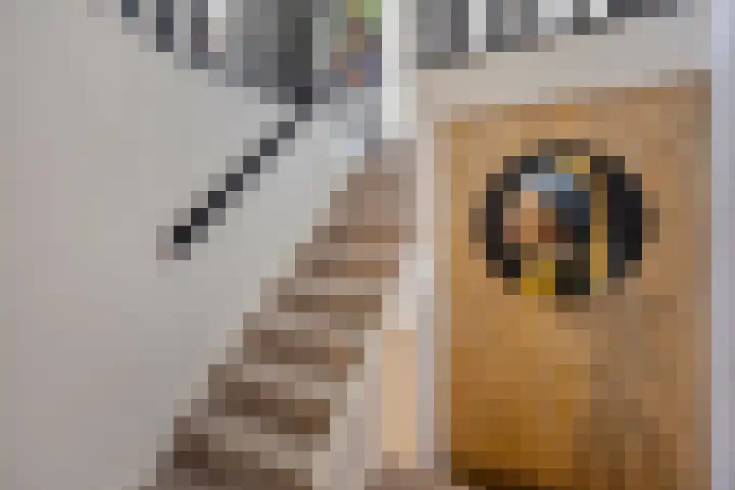 Dorpsstraat 21 Etten thumbnail 41