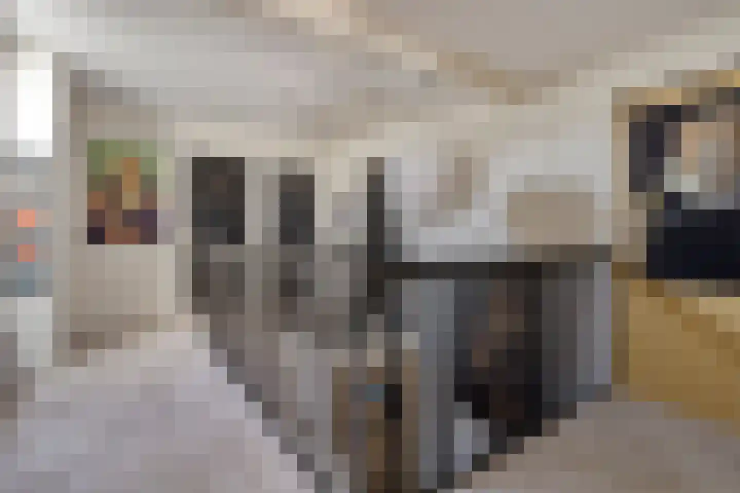 Dorpsstraat 21 Etten thumbnail 42