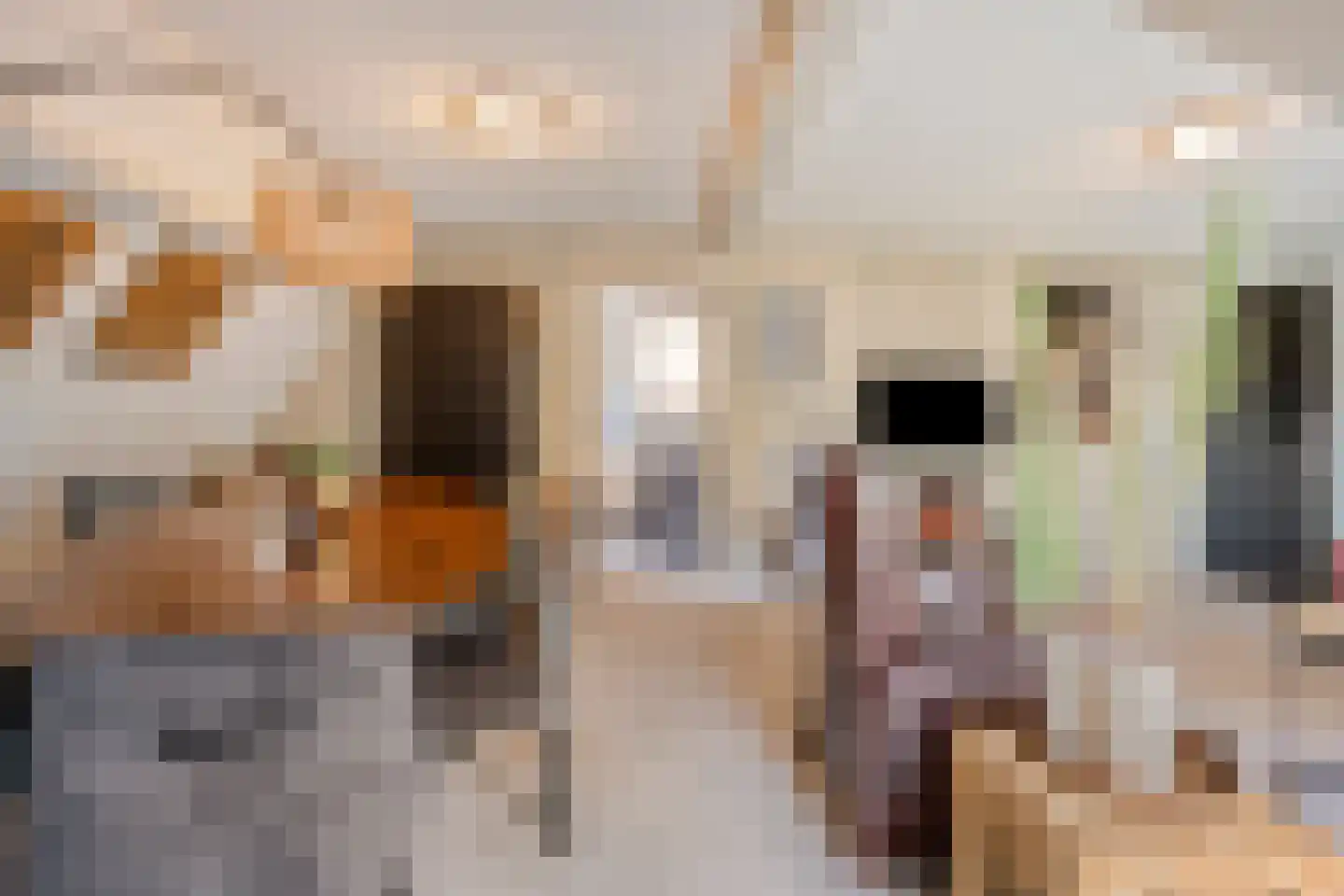 Dorpsstraat 21 Etten thumbnail 56