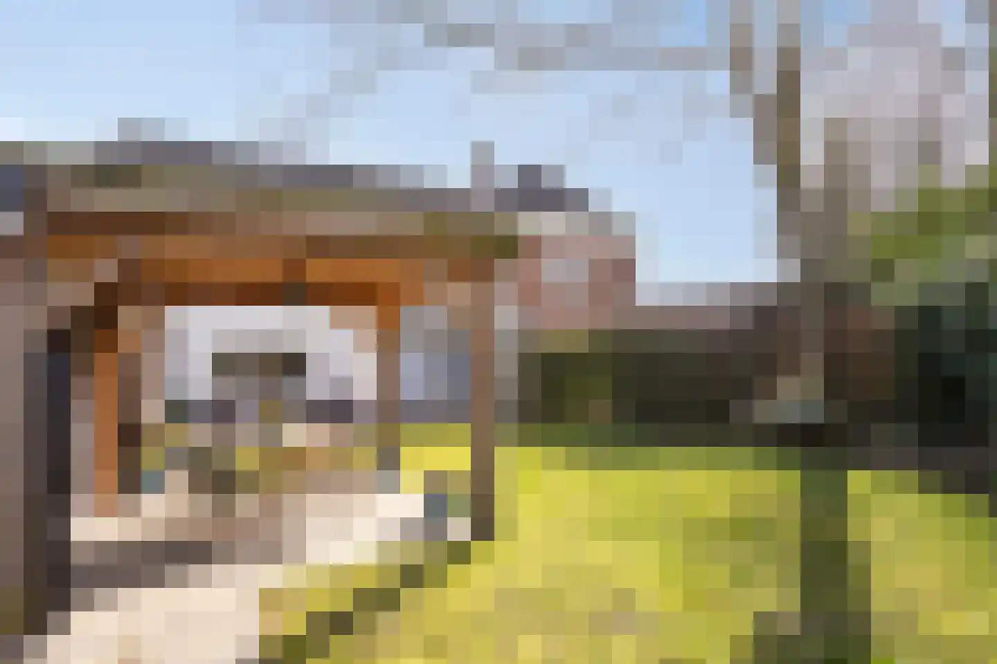 Dorpsstraat 21 Etten thumbnail 64