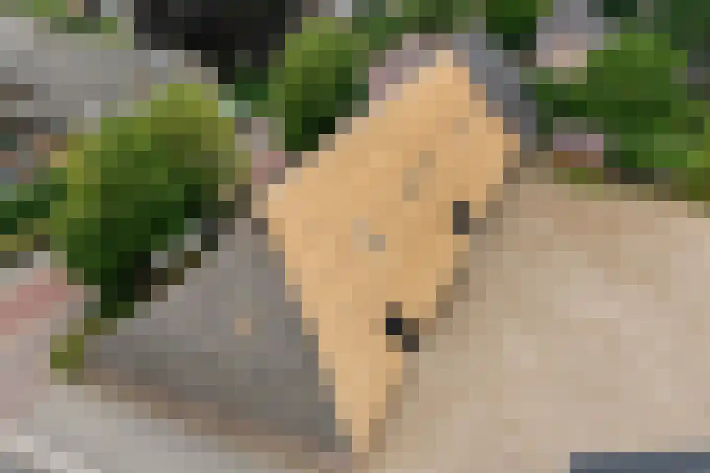 Dorpsstraat 21 Vledder thumbnail 21
