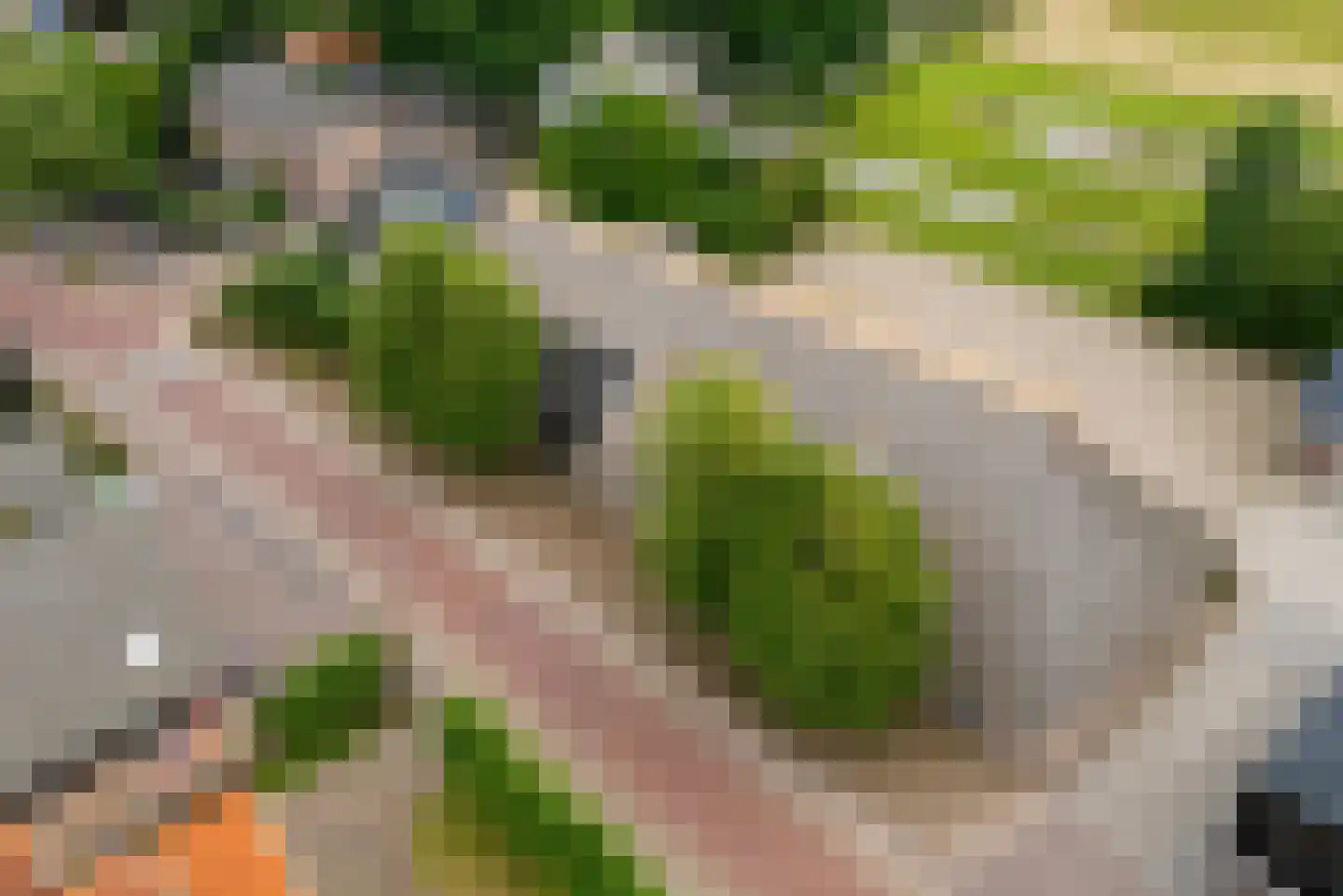 Dorpsstraat 21 Vledder thumbnail 22