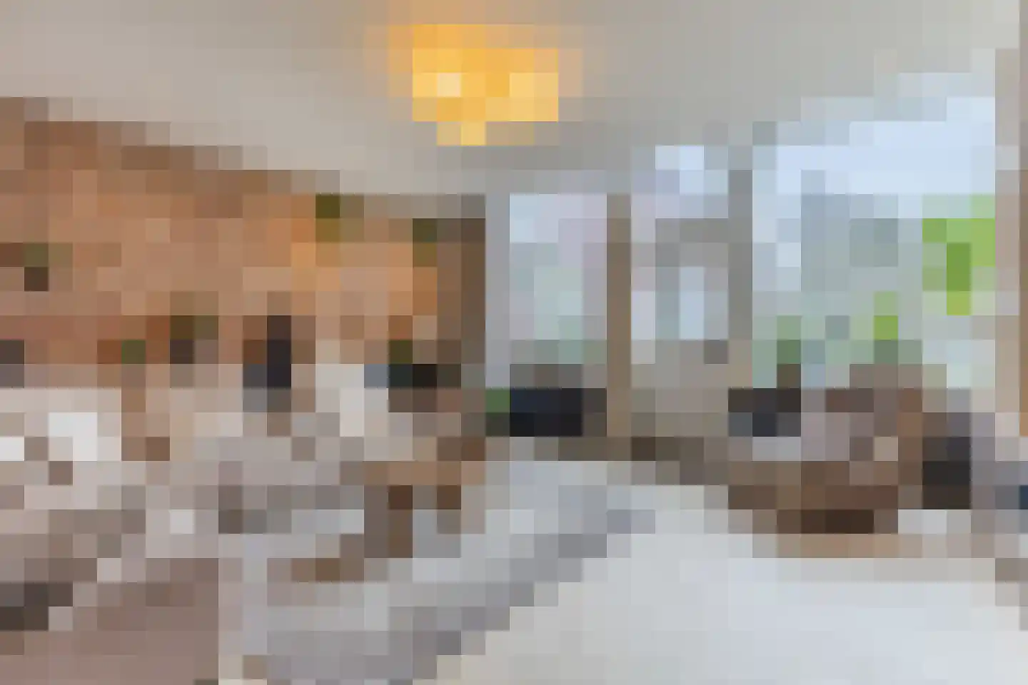 Dorpsstraat 21 Zwartewaal thumbnail 10