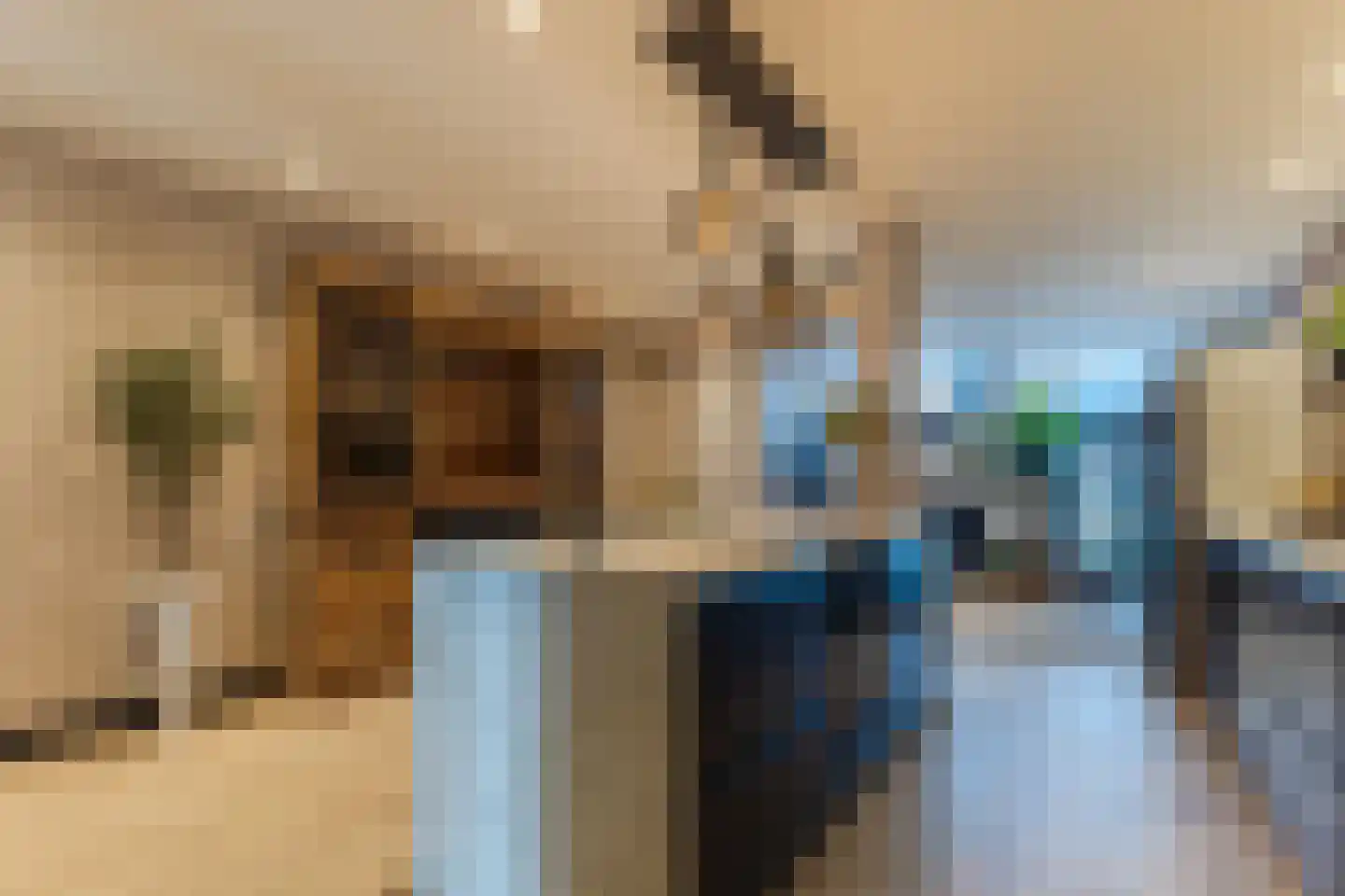 Dorpsstraat 21 Zwartewaal thumbnail 19