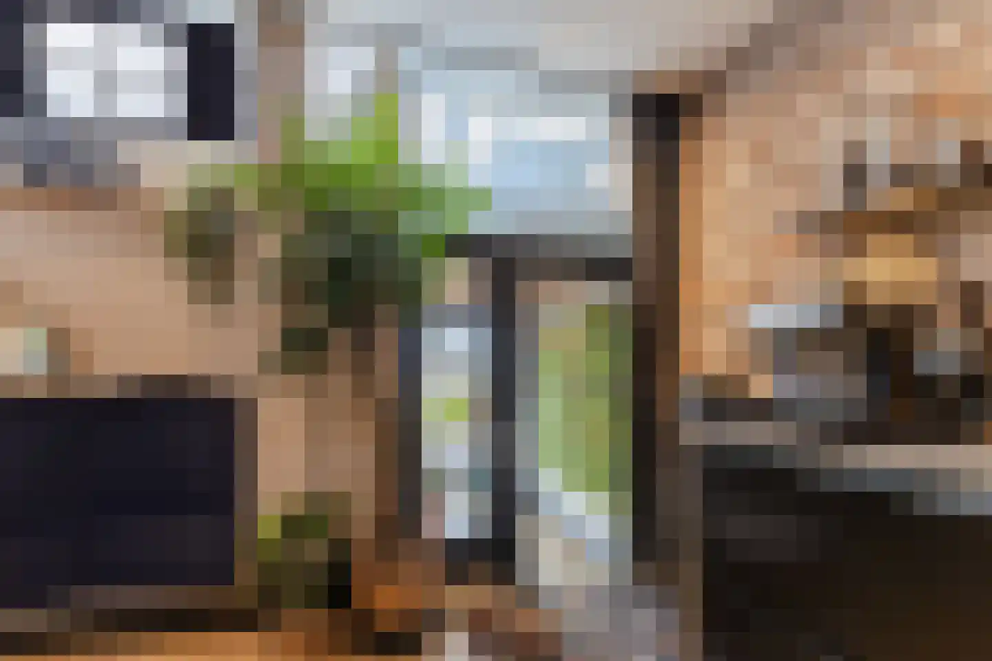 Dorpsstraat 21 Zwartewaal thumbnail 25