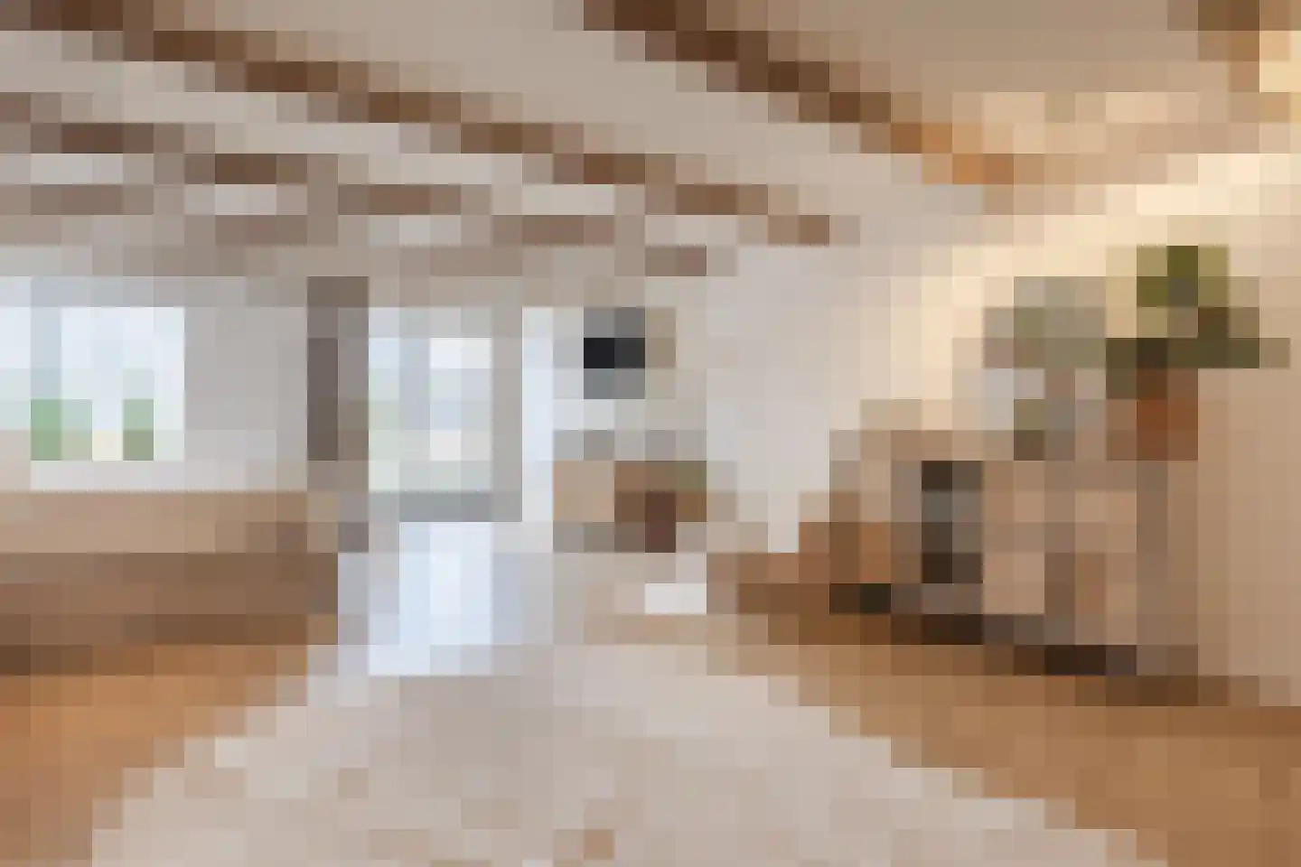 Dorpsstraat 21 Zwartewaal thumbnail 28