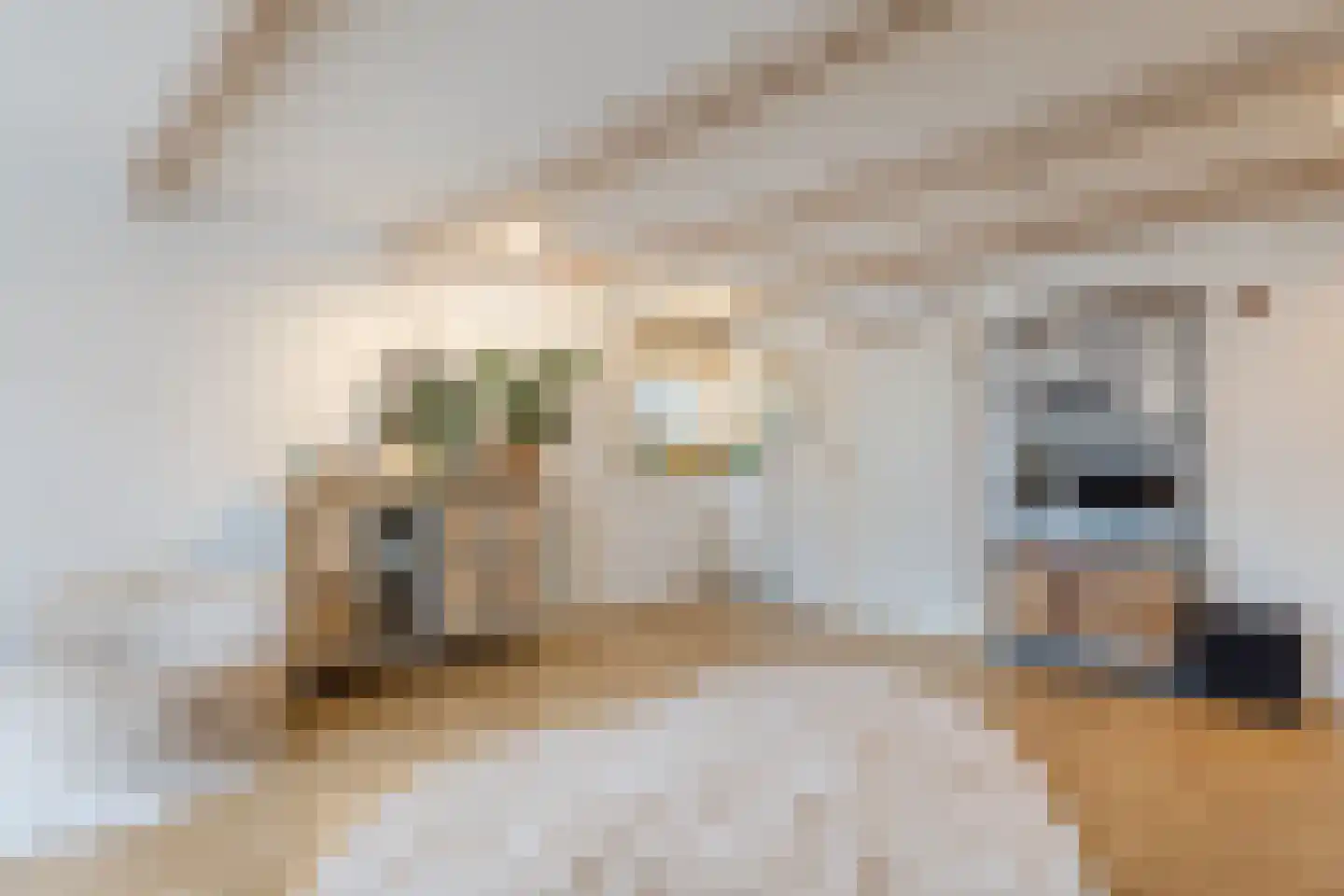 Dorpsstraat 21 Zwartewaal thumbnail 29