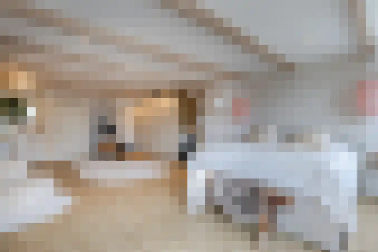 Dorpsstraat 21 Zwartewaal thumbnail 30