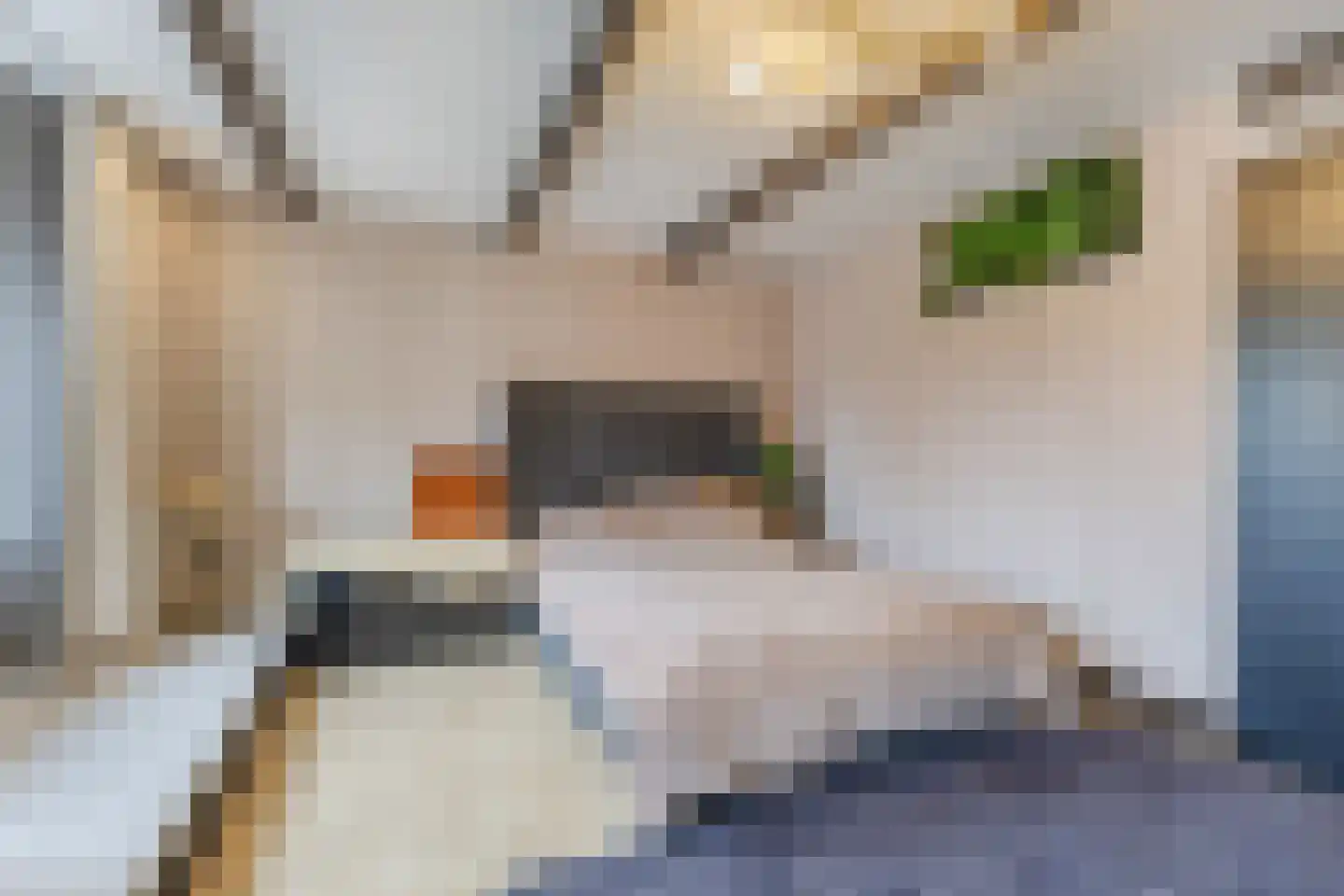 Dorpsstraat 21 Zwartewaal thumbnail 32