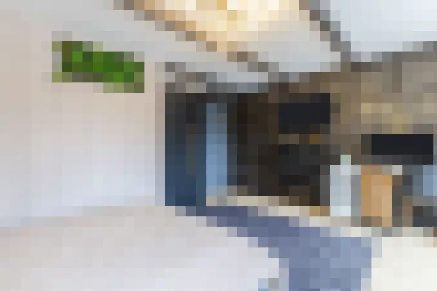 Dorpsstraat 21 Zwartewaal thumbnail 33