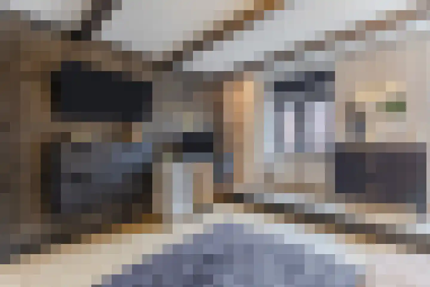 Dorpsstraat 21 Zwartewaal thumbnail 34
