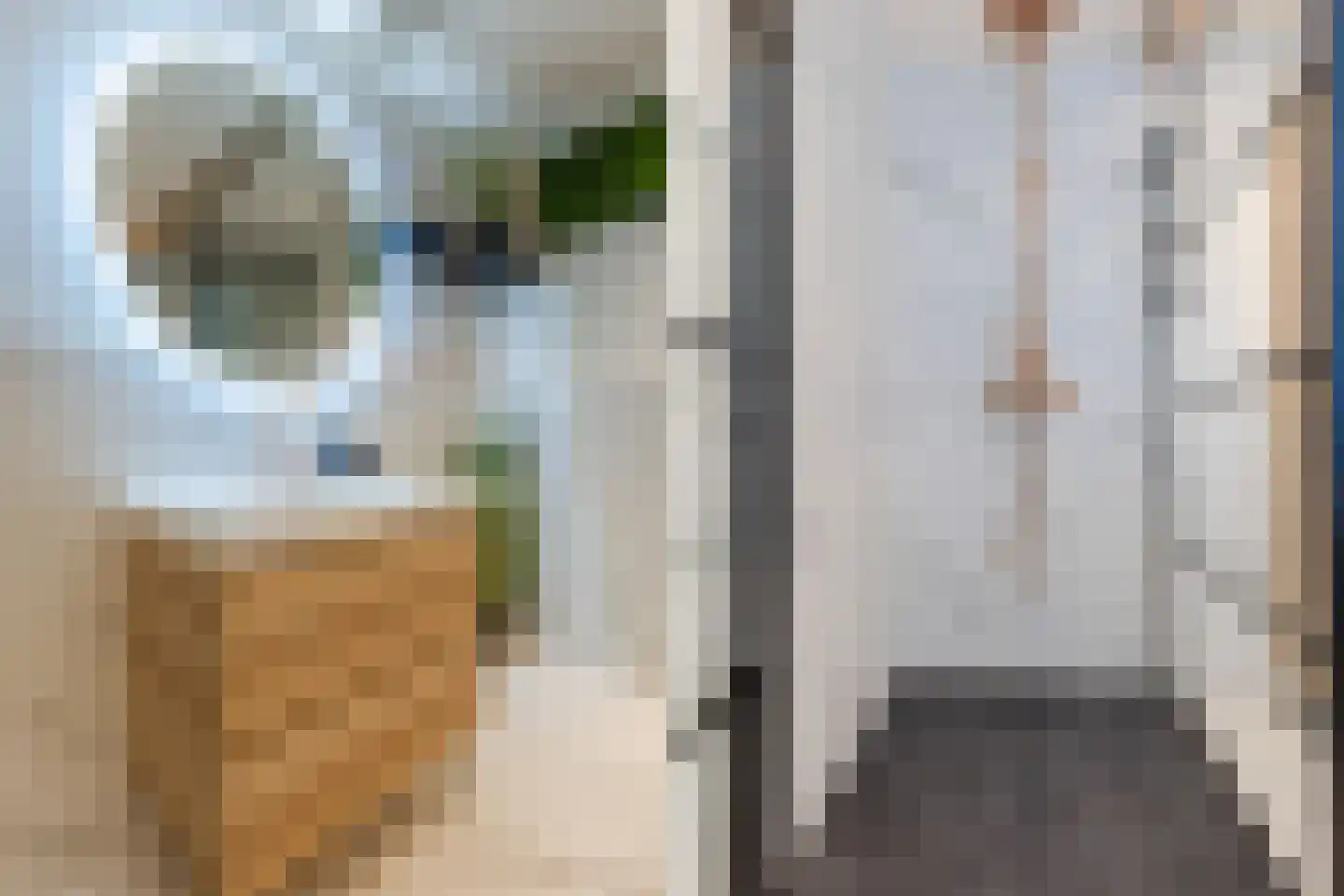 Dorpsstraat 21 Zwartewaal thumbnail 39