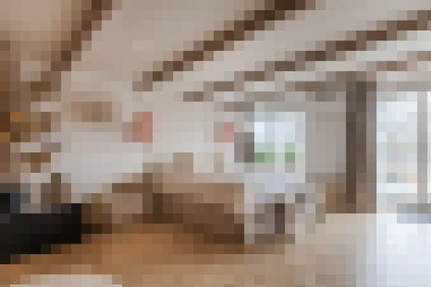 Dorpsstraat 21 Zwartewaal thumbnail 4