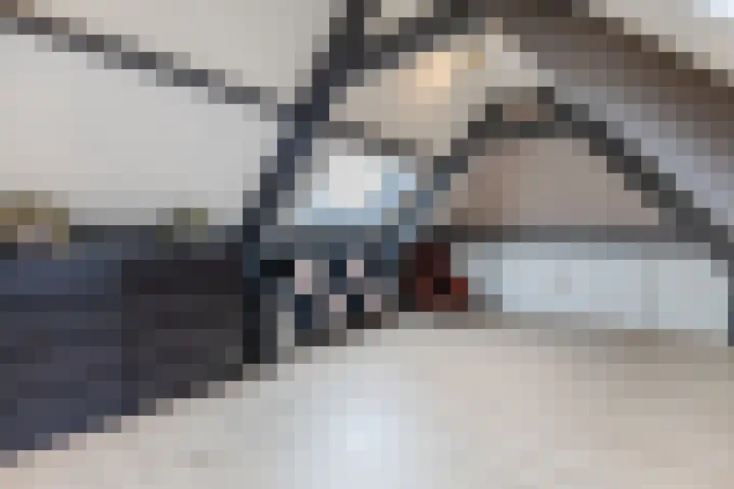 Dorpsstraat 21 Zwartewaal thumbnail 46