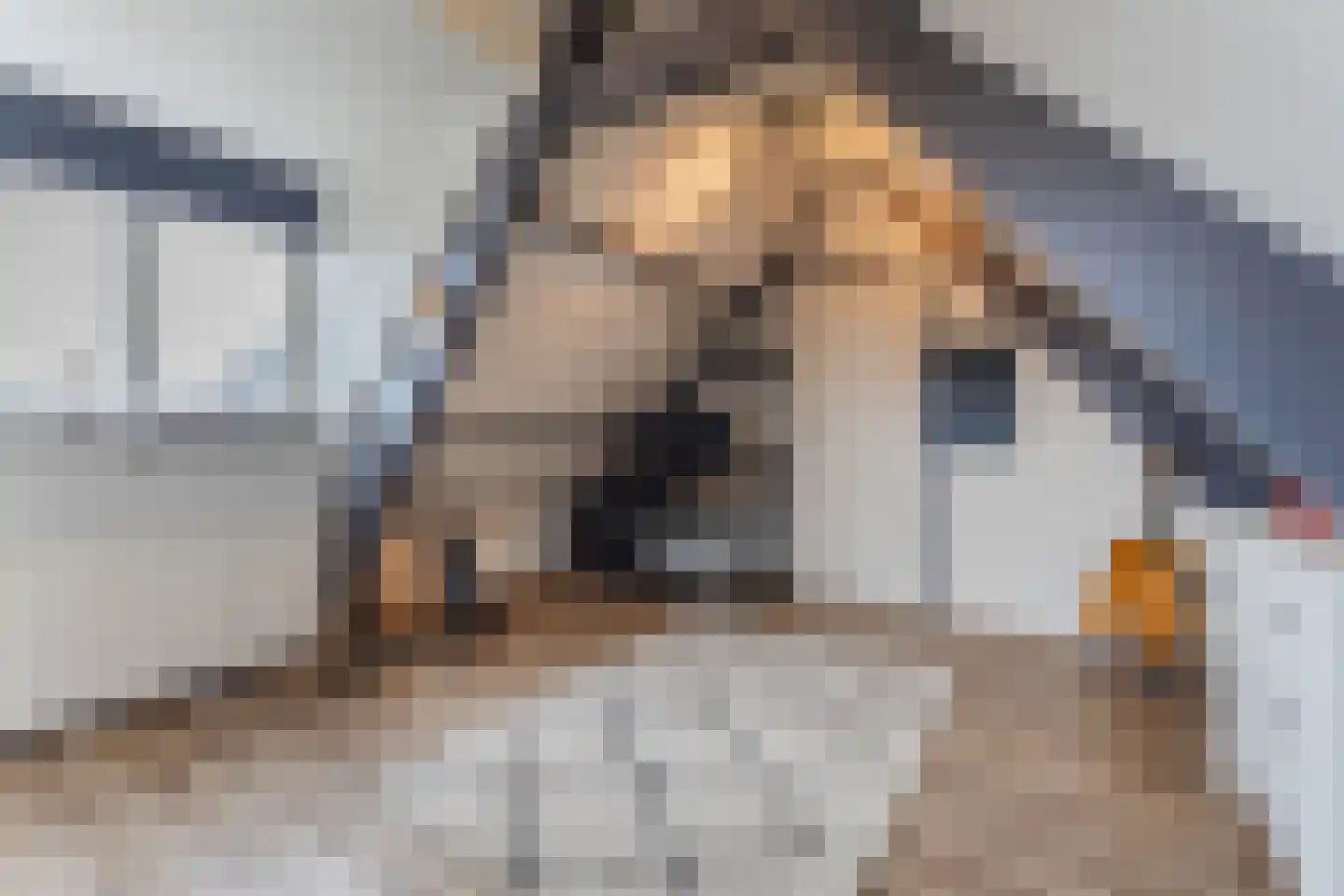 Dorpsstraat 21 Zwartewaal thumbnail 51