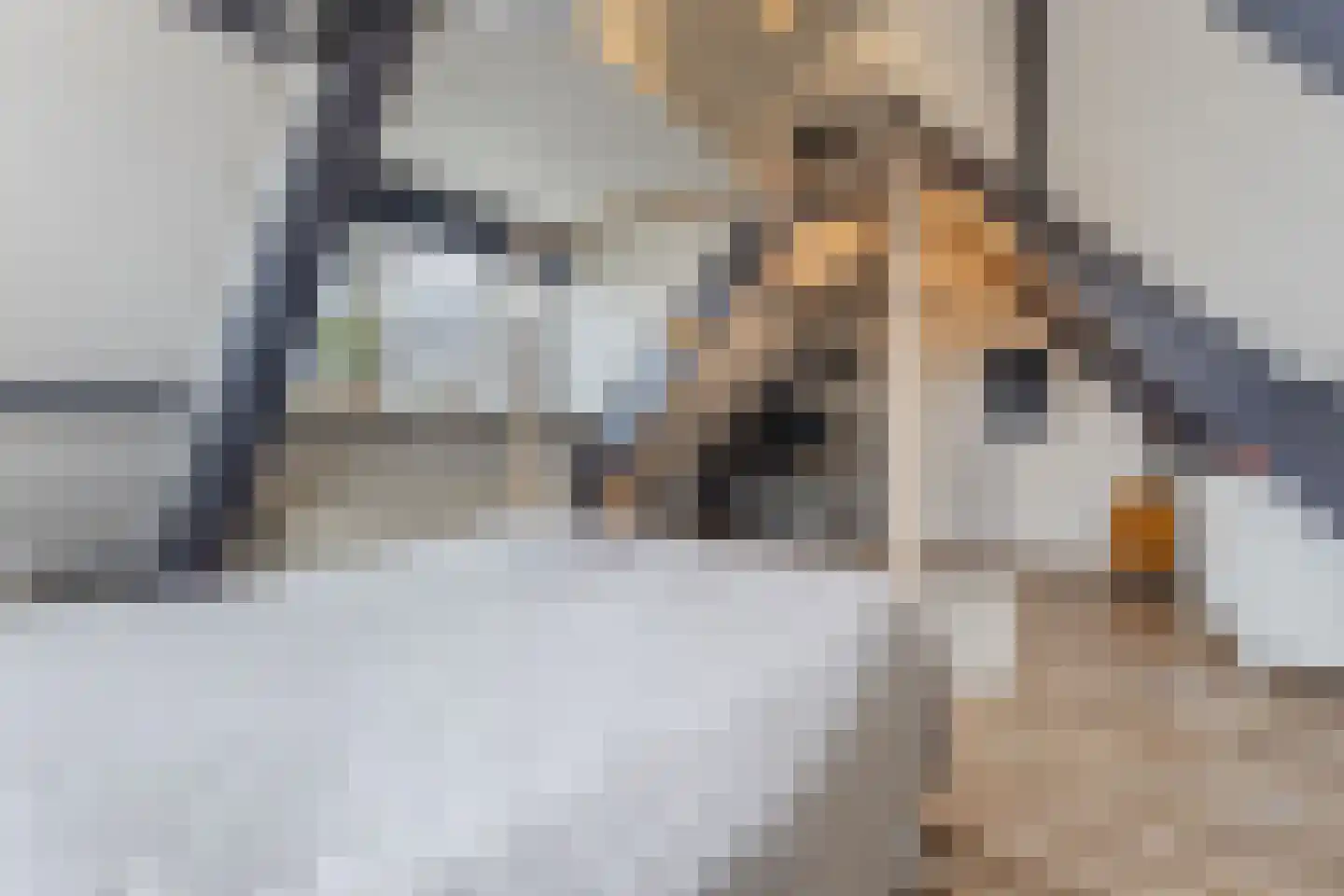 Dorpsstraat 21 Zwartewaal thumbnail 52