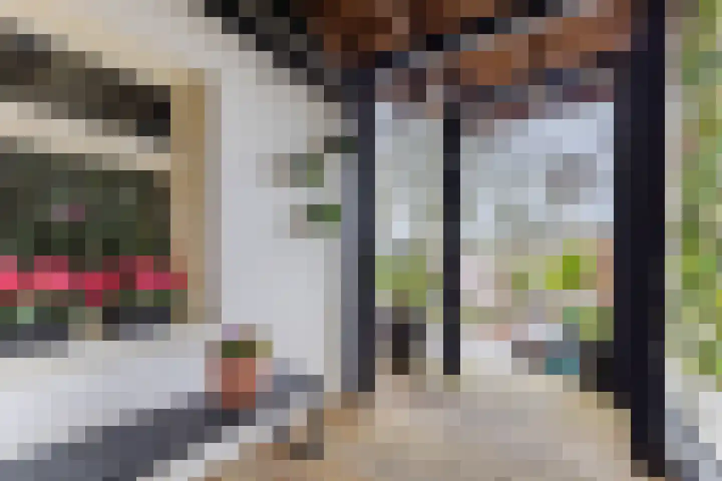 Dorpsstraat 21 Zwartewaal thumbnail 56