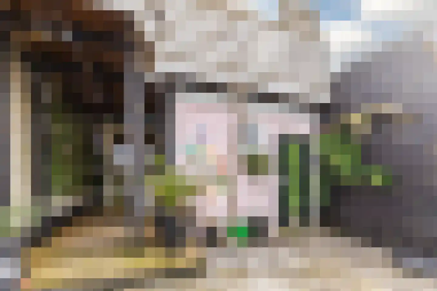 Dorpsstraat 21 Zwartewaal thumbnail 59