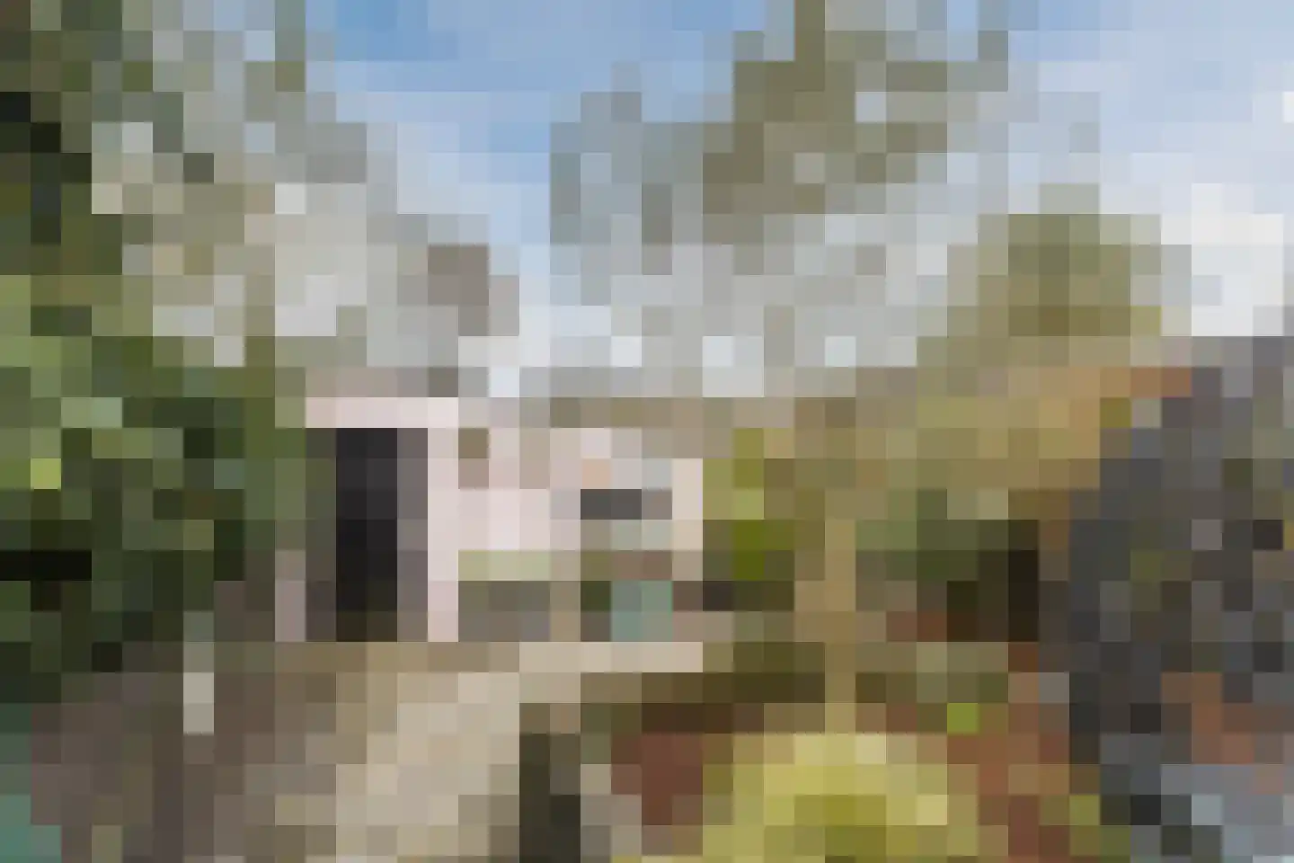Dorpsstraat 21 Zwartewaal thumbnail 60