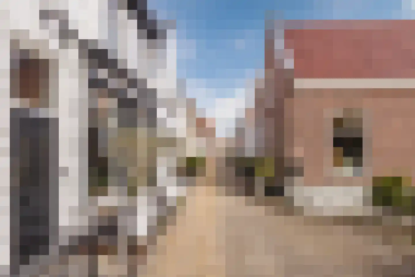 Dorpsstraat 21 Zwartewaal thumbnail 8