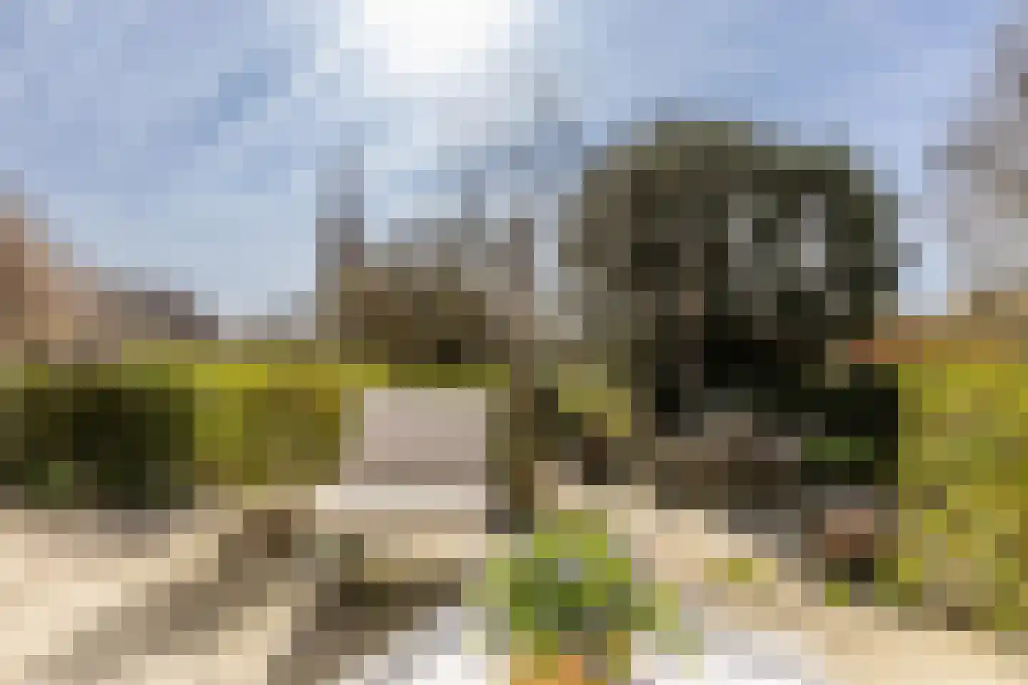 Dorpsstraat 211 Zuid-Beijerland thumbnail 33