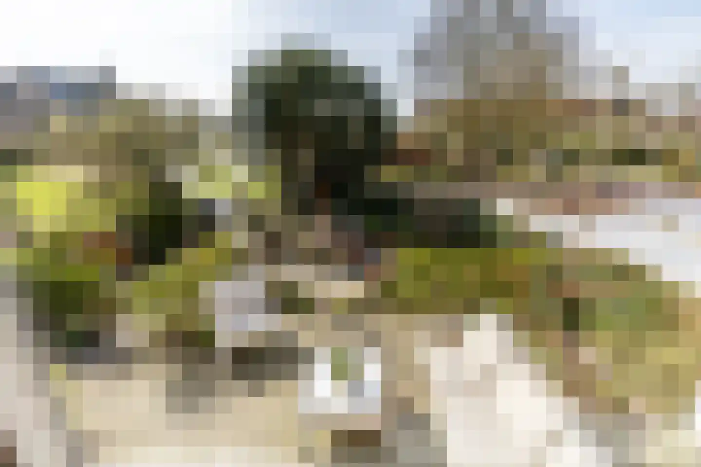 Dorpsstraat 211 Zuid-Beijerland thumbnail 36