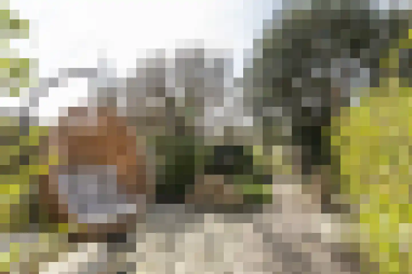 Dorpsstraat 211 Zuid-Beijerland thumbnail 37