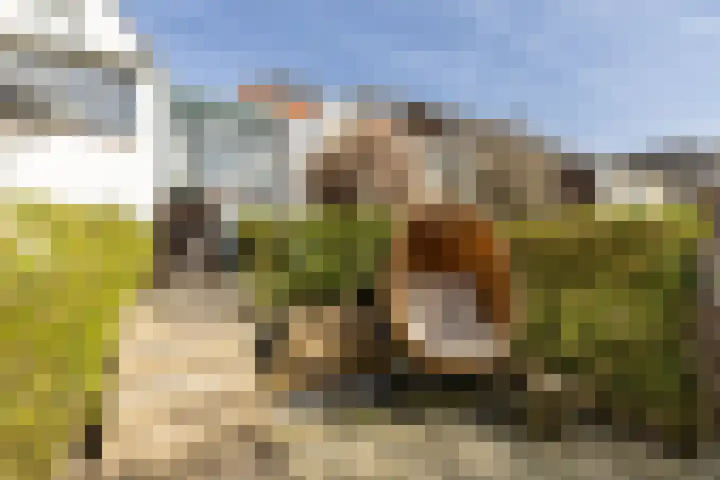 Dorpsstraat 211 Zuid-Beijerland thumbnail 39