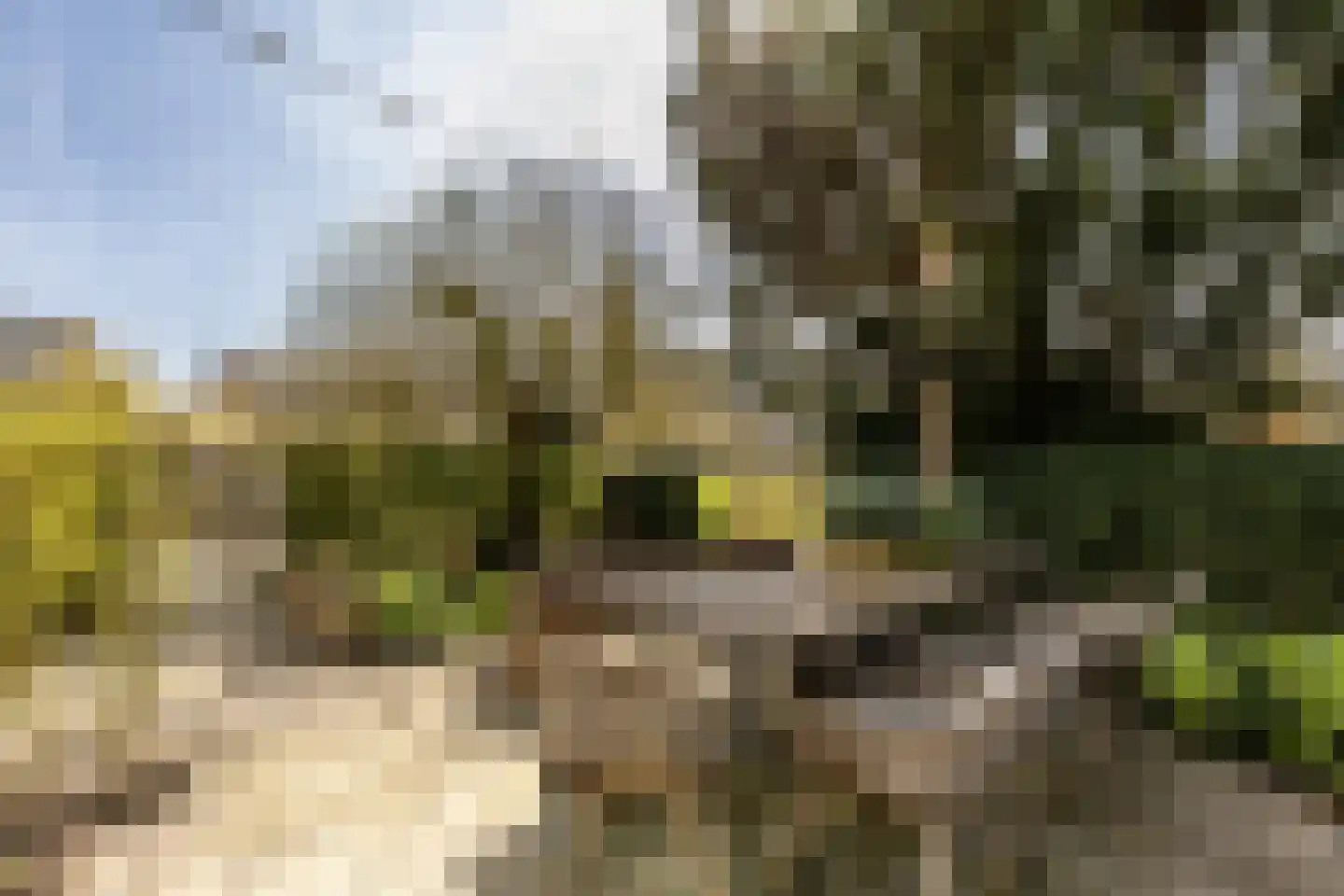 Dorpsstraat 211 Zuid-Beijerland thumbnail 43