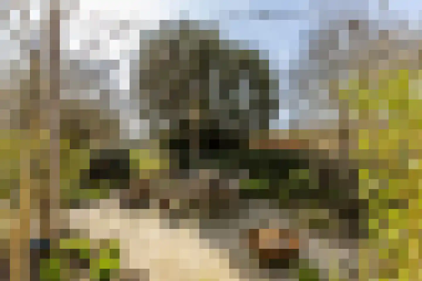 Dorpsstraat 211 Zuid-Beijerland thumbnail 44