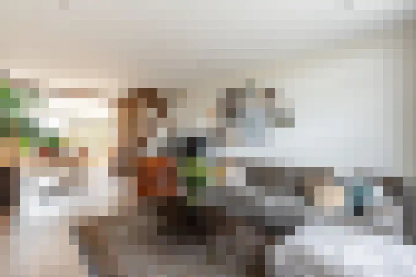 Dorpsstraat 211 Zuid-Beijerland thumbnail 9