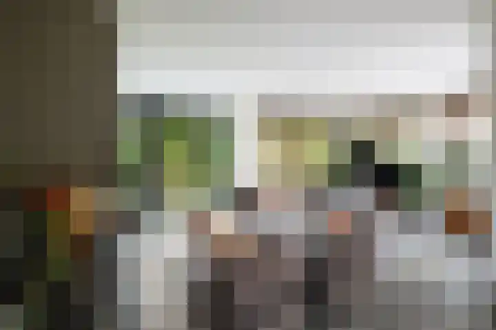 Dorpsstraat 212 Zevenhuizen thumbnail 22