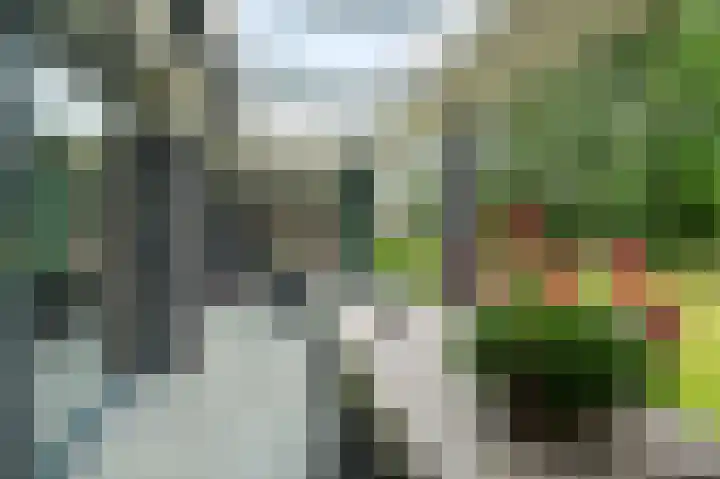 Dorpsstraat 212 Zevenhuizen thumbnail 30