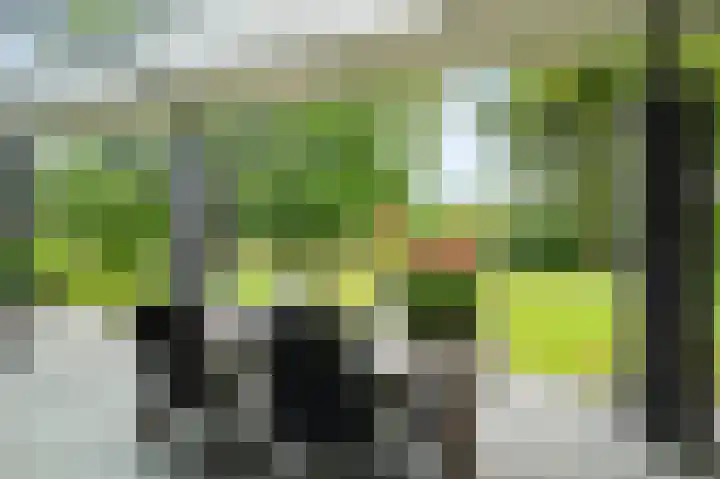 Dorpsstraat 212 Zevenhuizen thumbnail 31