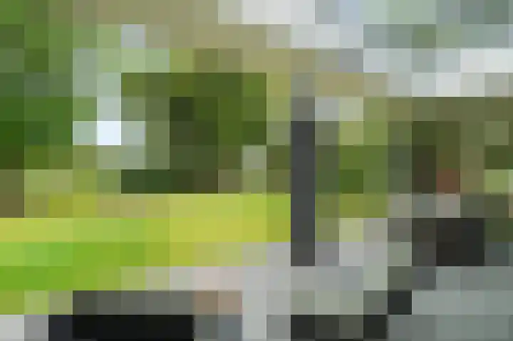 Dorpsstraat 212 Zevenhuizen thumbnail 32