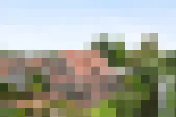 Dorpsstraat 212 Zevenhuizen thumbnail 4