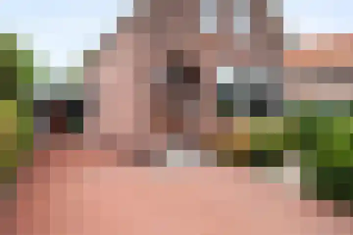 Dorpsstraat 212 Zevenhuizen thumbnail 5