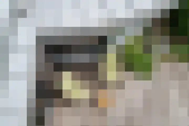 Dorpsstraat 212 Zevenhuizen thumbnail 71