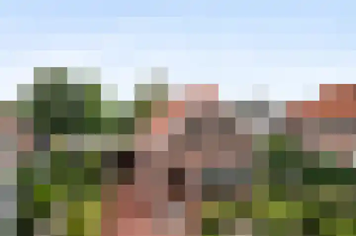 Dorpsstraat 212 Zevenhuizen thumbnail 76