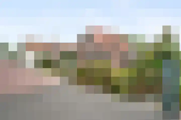 Dorpsstraat 212 Zevenhuizen thumbnail 90