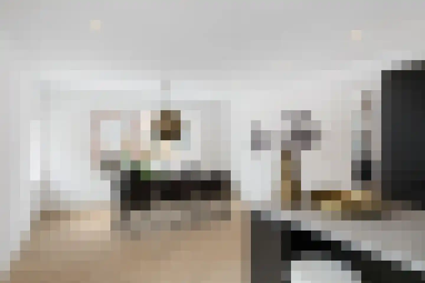 Dorpsstraat 216 Zevenhuizen thumbnail 10