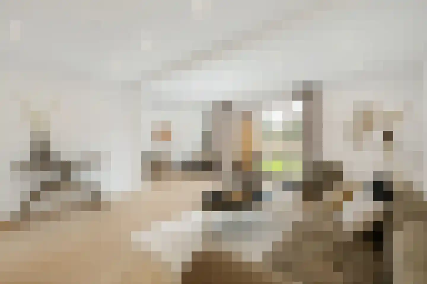 Dorpsstraat 216 Zevenhuizen thumbnail 13