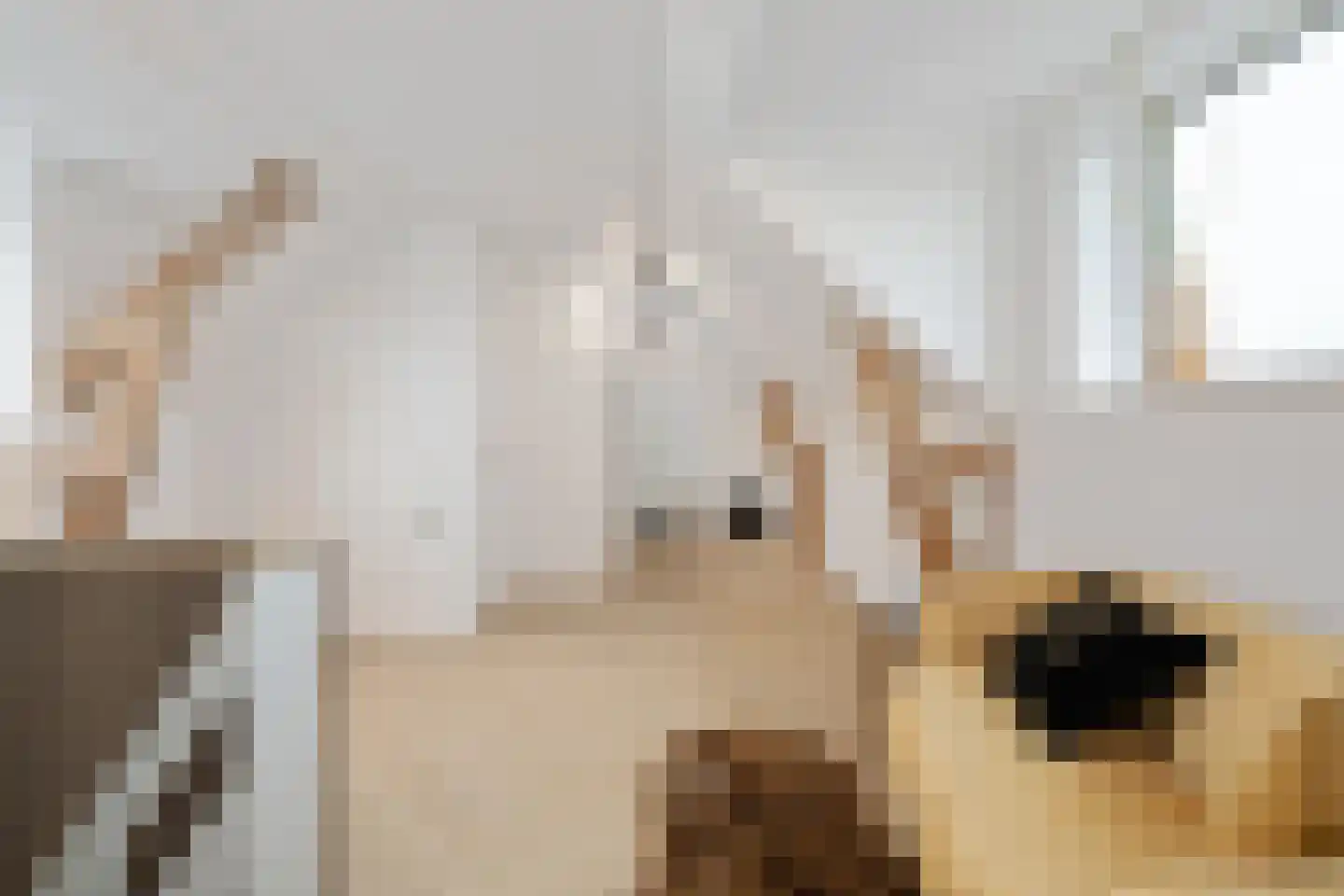 Dorpsstraat 216 Zevenhuizen thumbnail 24