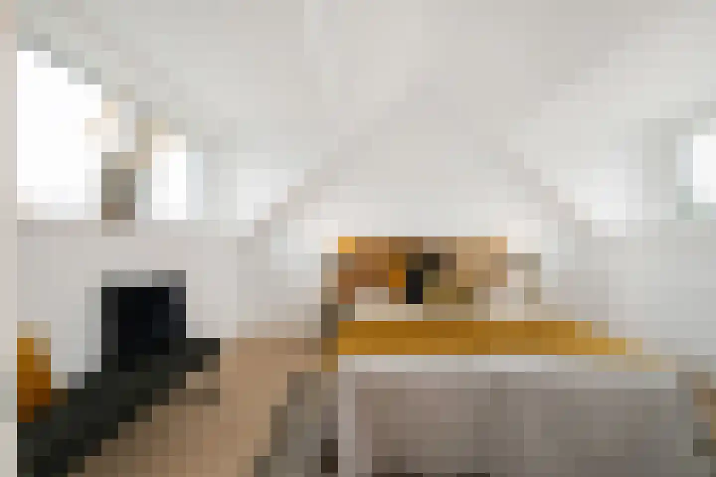 Dorpsstraat 216 Zevenhuizen thumbnail 27